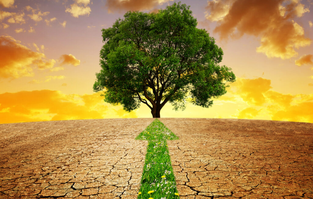 Klimapfad: Der erste Schritt zur Nachhaltigkeit